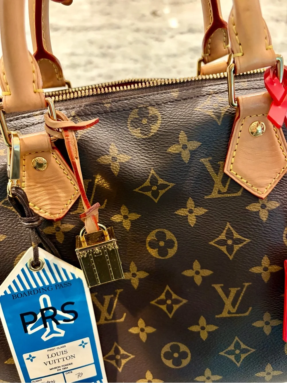 Louis Vuitton iconic louis